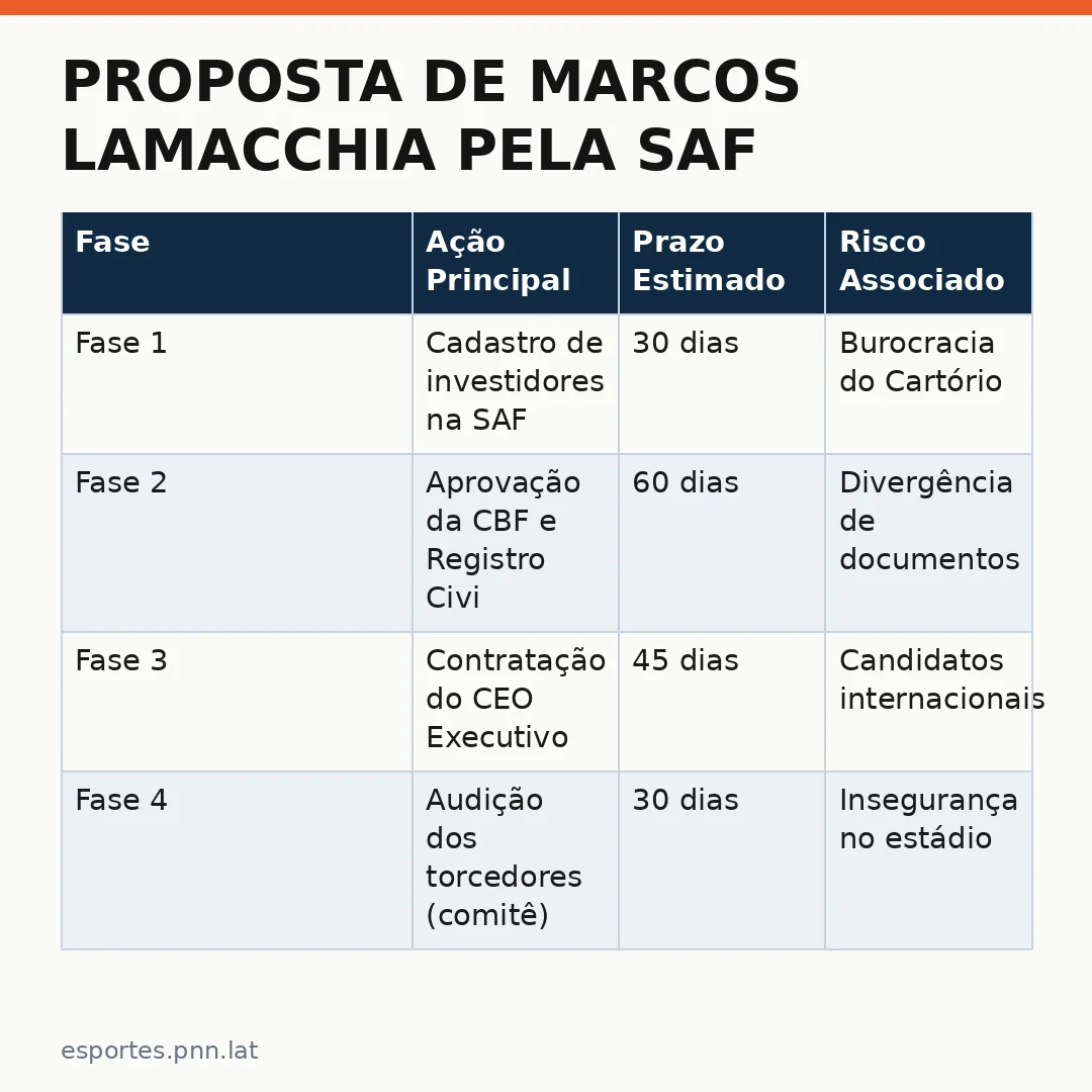 Infográfico - Proposta de Marcos Lamacchia pela SAF do Vasco: análise detalhada e contexto internacional