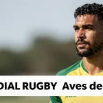 Mundial Rugby time Brasil: O Retorno das Aves de Ouro